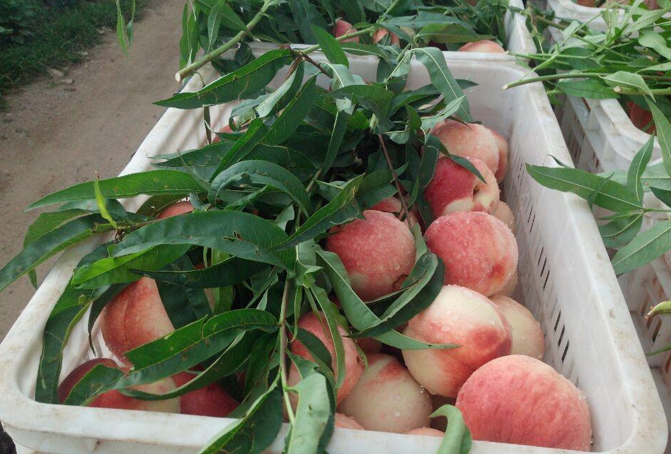 3dh漫画在线 我还没有学会回答这个问题