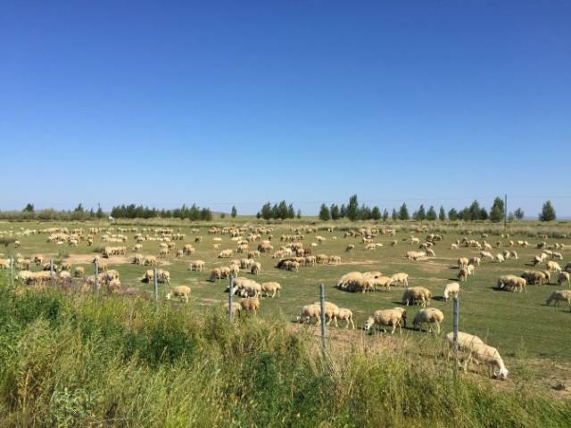 3d动漫最新作品