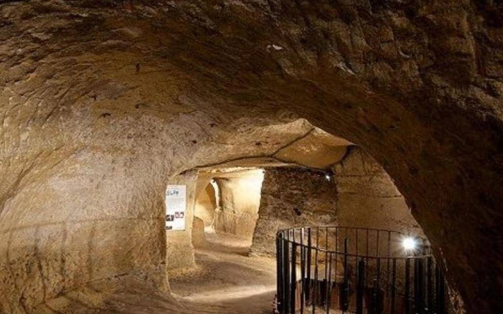 神马影院我不卡达达兔 神马它们拥有海量正版资源