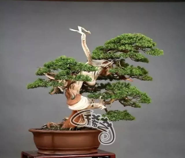 午夜影院在线看