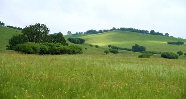 999视频精品全部免费品