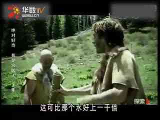 日本特别车牌推荐 日本外交车牌）需特殊资格