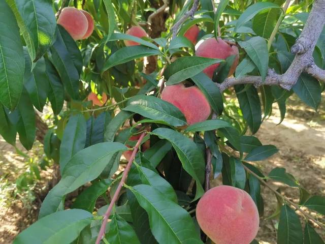 短视频91 保护自身安全与合法权益