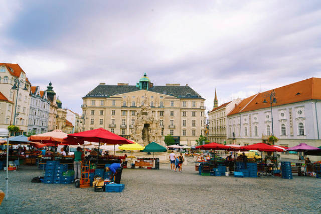 51吃瓜网官网在线观看 吃瓜有望提升整体竞争力